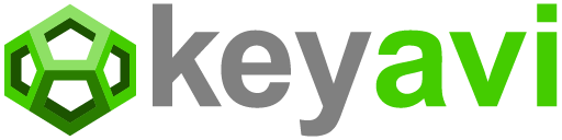 Company 1